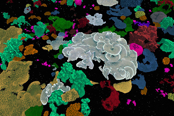 Still frame from Hearing Seascapes visualization and installation.
