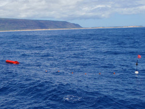 Hogkiss' reseach team set up a hydrophone array off Baking Sands on the West coast of Kauai to capture acoustic communications data.