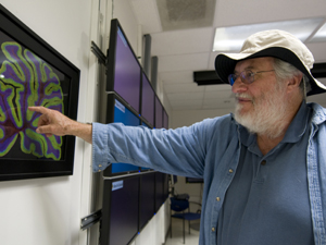 Tomography  is used in numerous sciences, including archaeology and geophysics, but is most often thought of in the context of medical imaging, such as the magnified cross-section of a rat brain shown here.