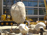 Torso boulder moving into place
