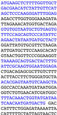 Ecce Homology