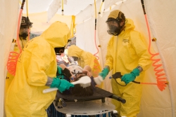 KW decon gurney