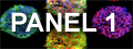 Panel One