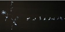 Ecce Homology