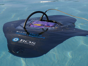 The Stingray is equipped with forward- and down-looking cameras,  a high-intensity  lighting apparatus, a piezoelectric-film based sonar system, inertial navigational sensors and custom-designed software.