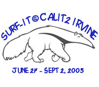 SURF-IT@Calit2
