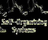 Self-Organizing Systems