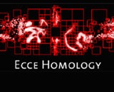 Ecce Homology