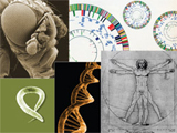 Genome Sequencing Conferencing