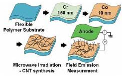 fabrication of CNT electronic devices