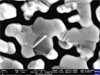 Channelling contrast on gold particles
