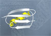 Institute for Genomics and Bioinformatics