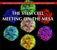 Stem Cell Meeting on the Mesa