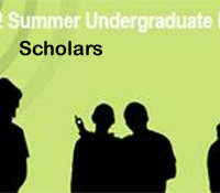Undergraduate Scholars