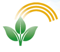 Biology and Business of Biofuels
