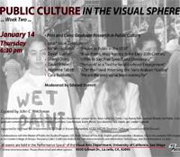 Public Culture in the Visual Sphere