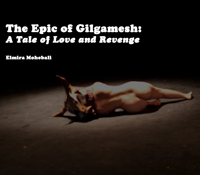 A Tale of Love and Revenge